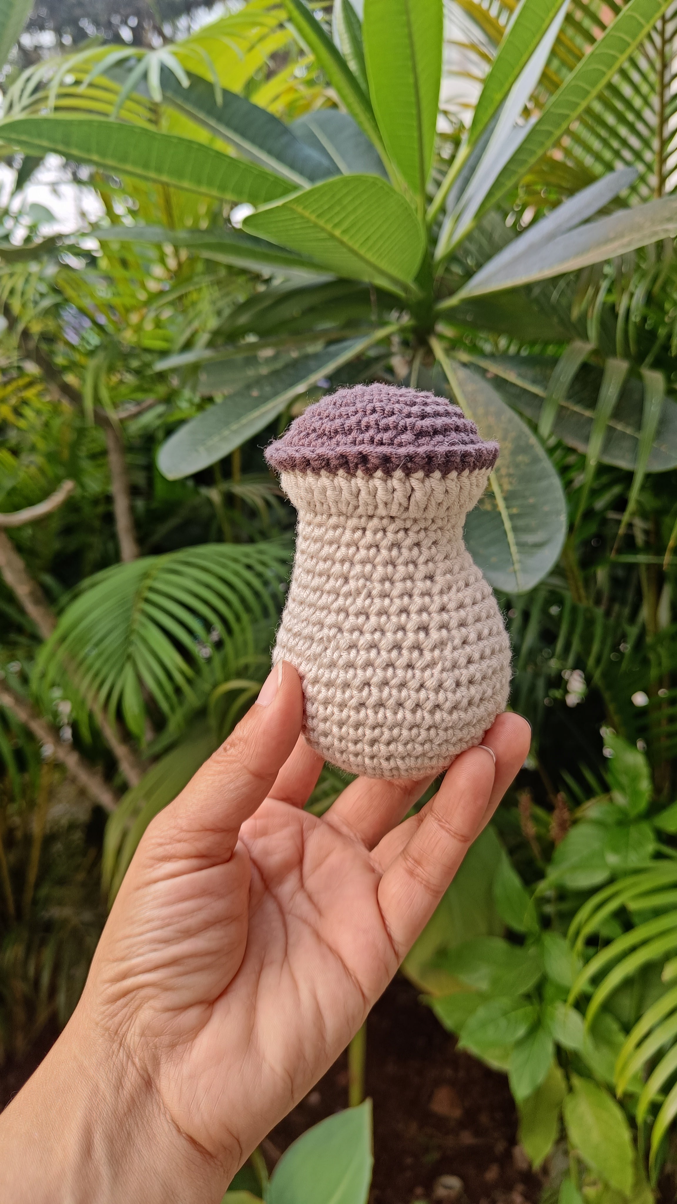 Portobello Mushroom