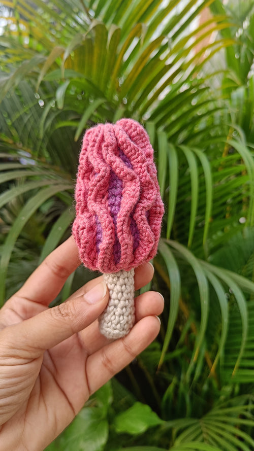 Morel Mushrooms