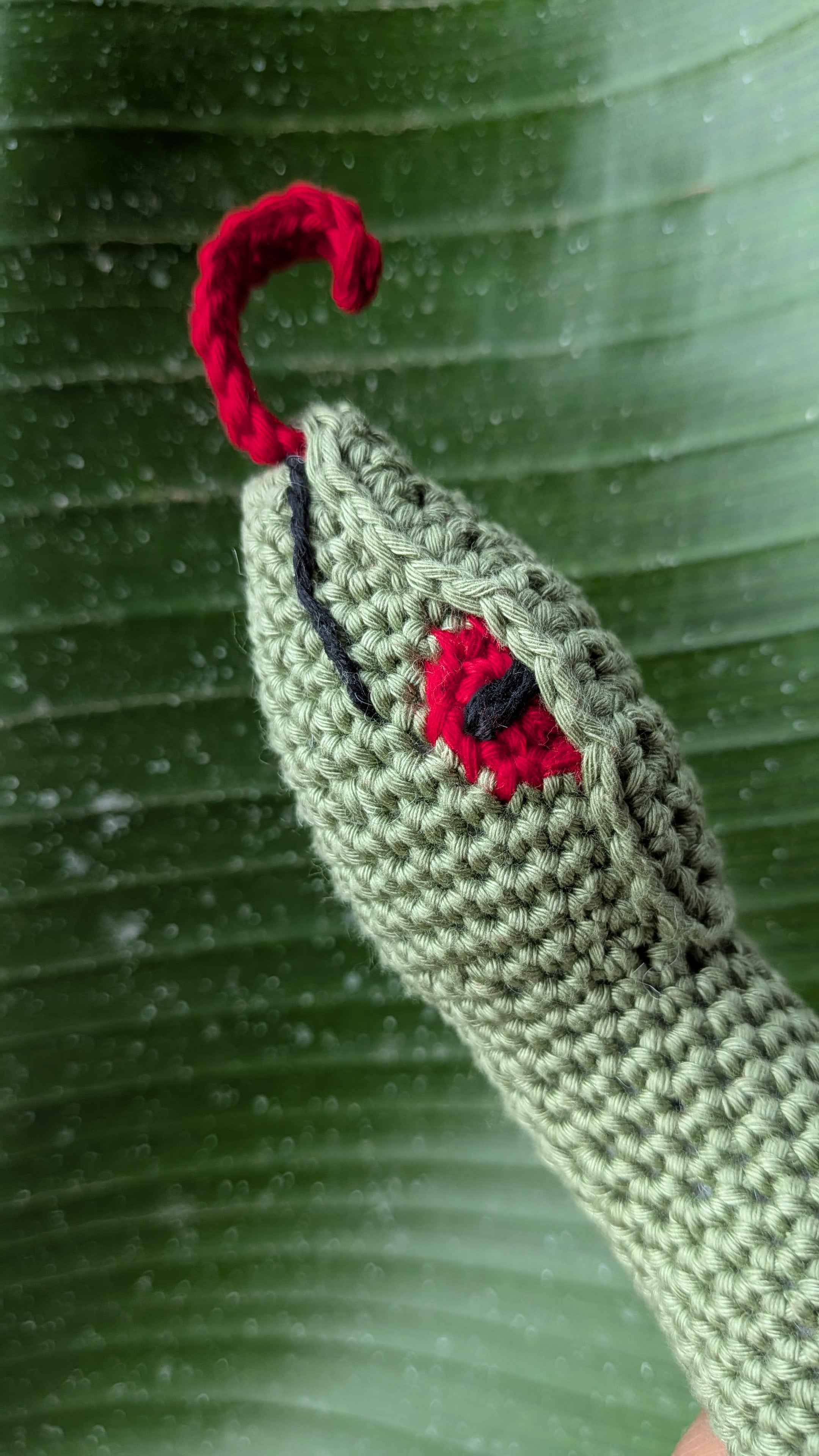 Crochet Snake