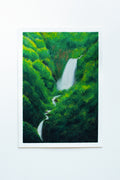 Monsoon in the Western Ghats