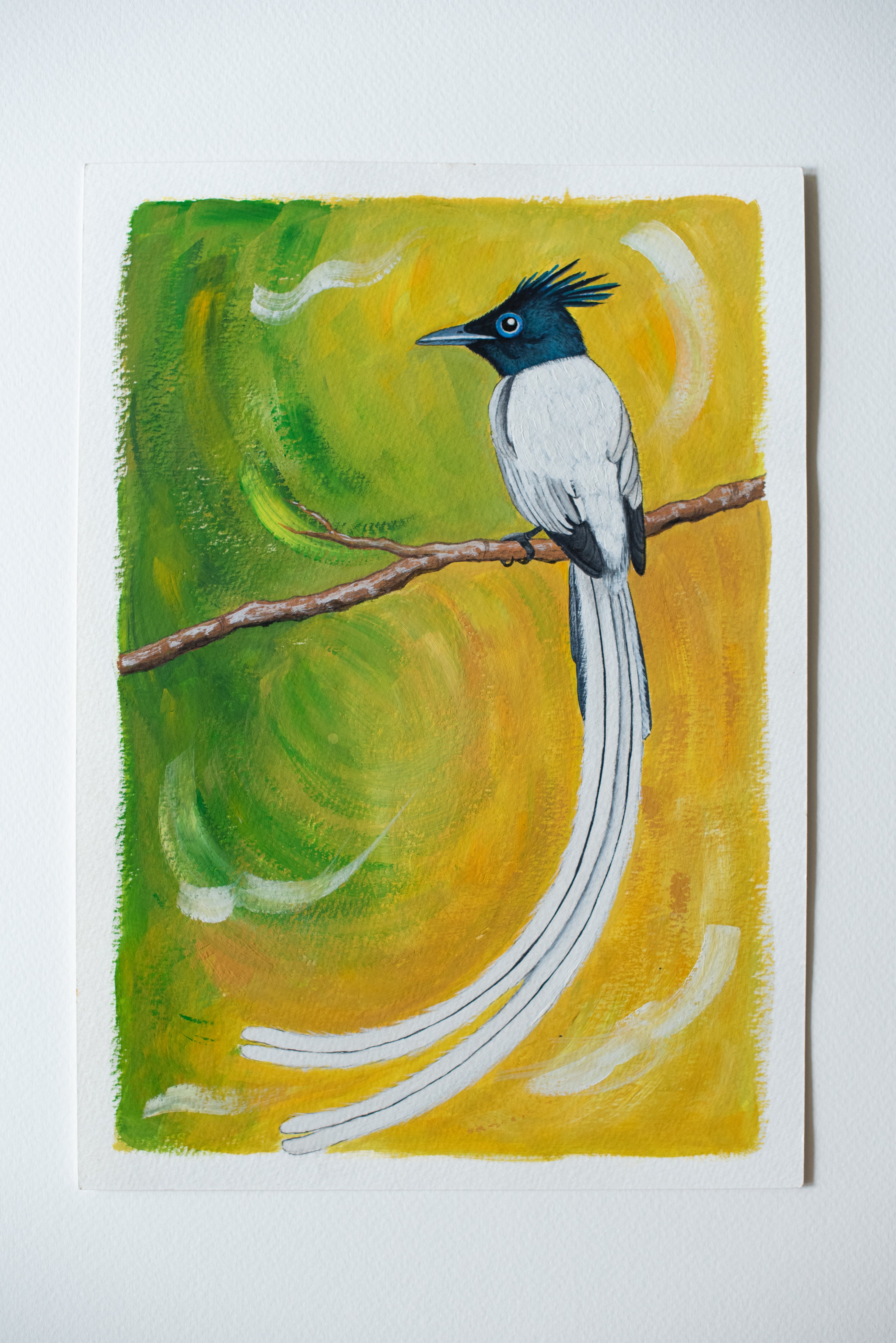 Indian Paradise-Flycatcher