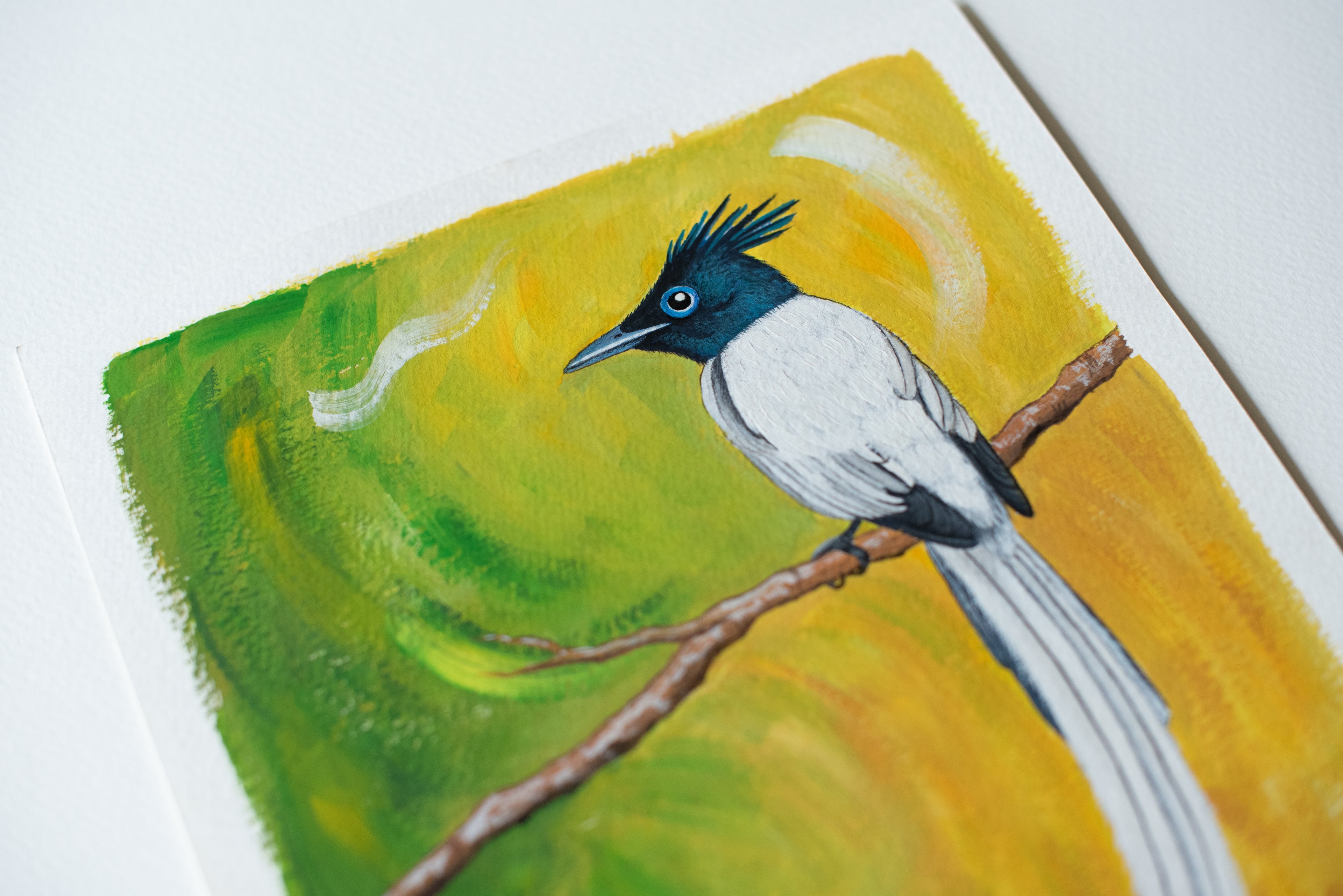 Indian Paradise-Flycatcher