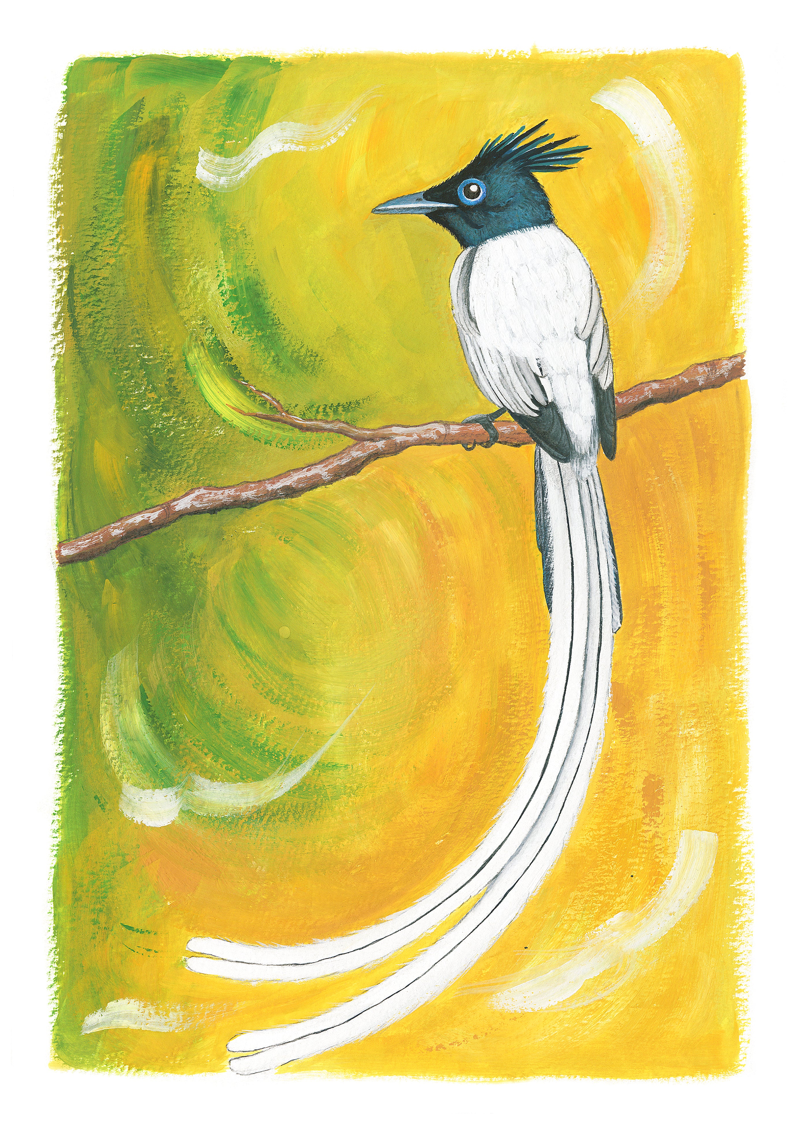 Indian Paradise-Flycatcher
